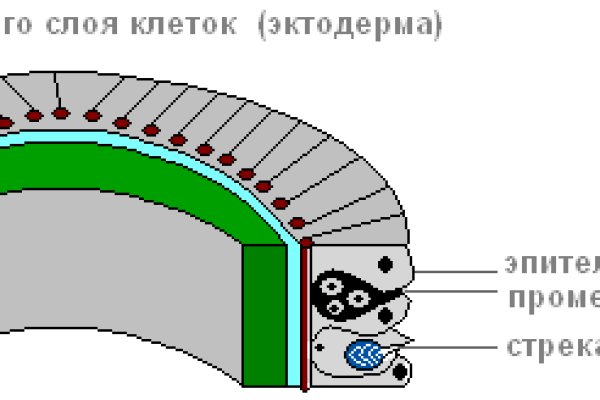 Craken что это