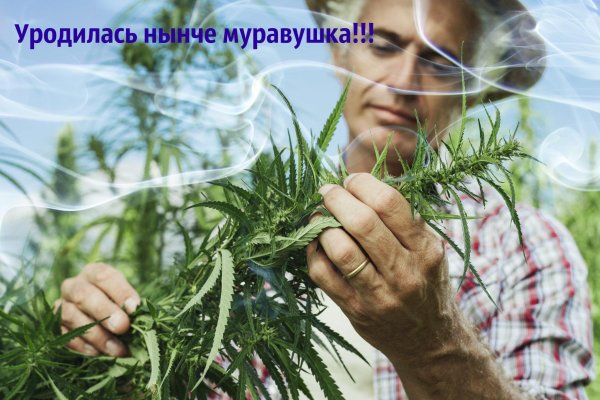 Кракен войти