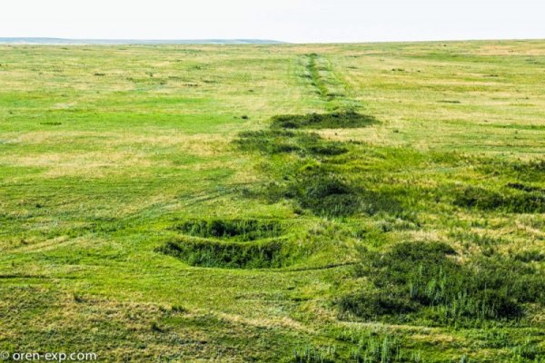 Кракен даркнет только через